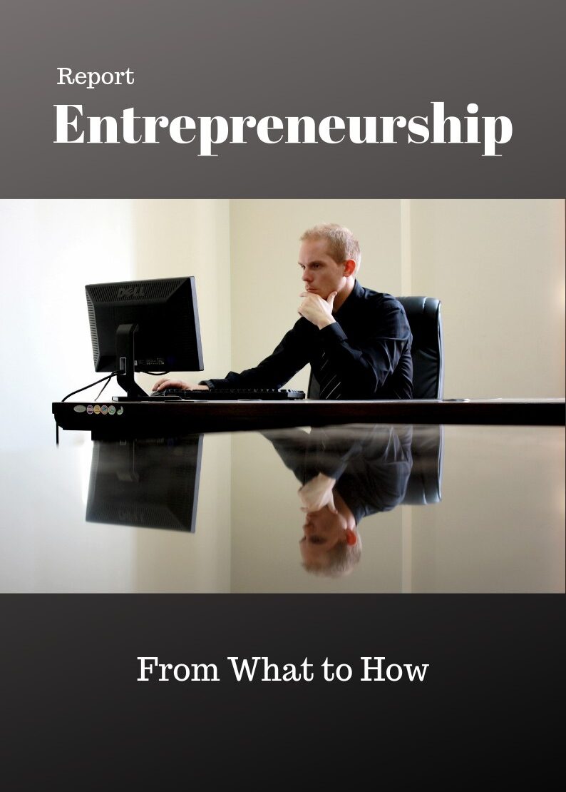 Business Entrepreneurship PLR Report ECourse bundle